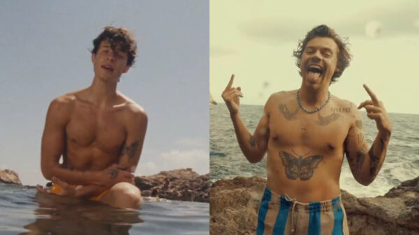Fãs reúnem as maiores semelhanças entre o clipe de Shawn Mendes e o de Harry Styles; vem ver se você já tinha reparado